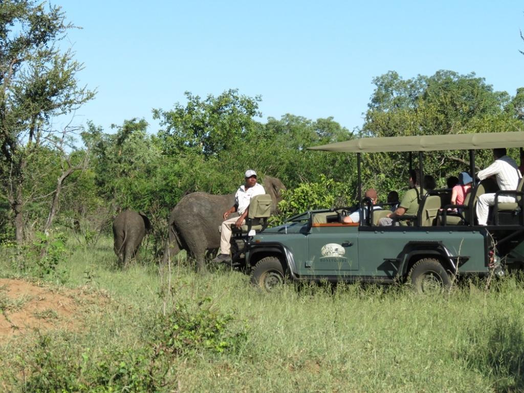 Honeyguide Tented Safari Camp - Khoka Moya Wildreservat Manyeleti Exterior foto